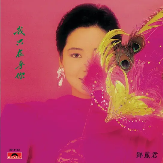 I Only Care About You 我只在乎你