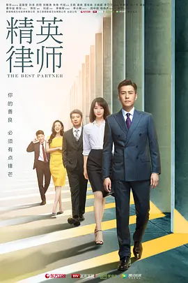 The Gold Medal Lawyer 精英律师